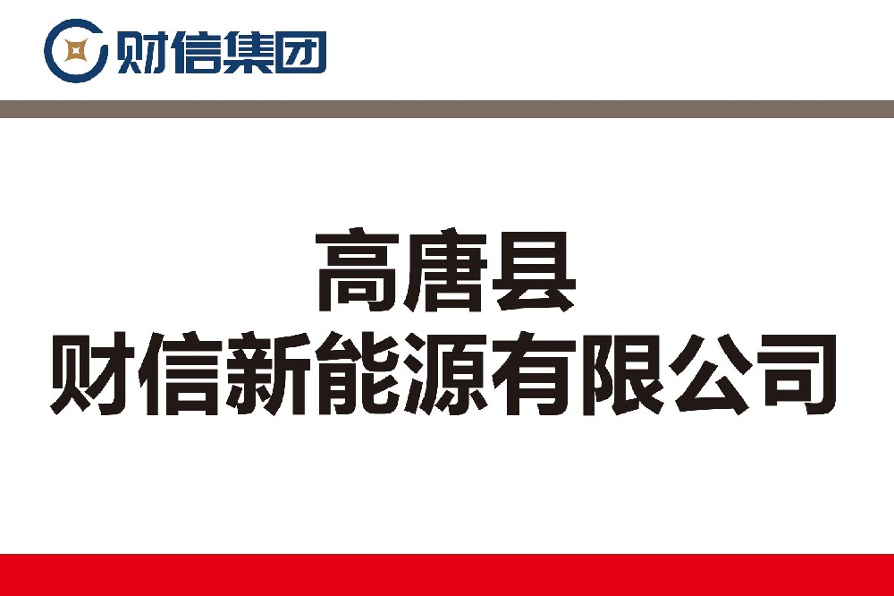 高唐县财信新能源有限公司