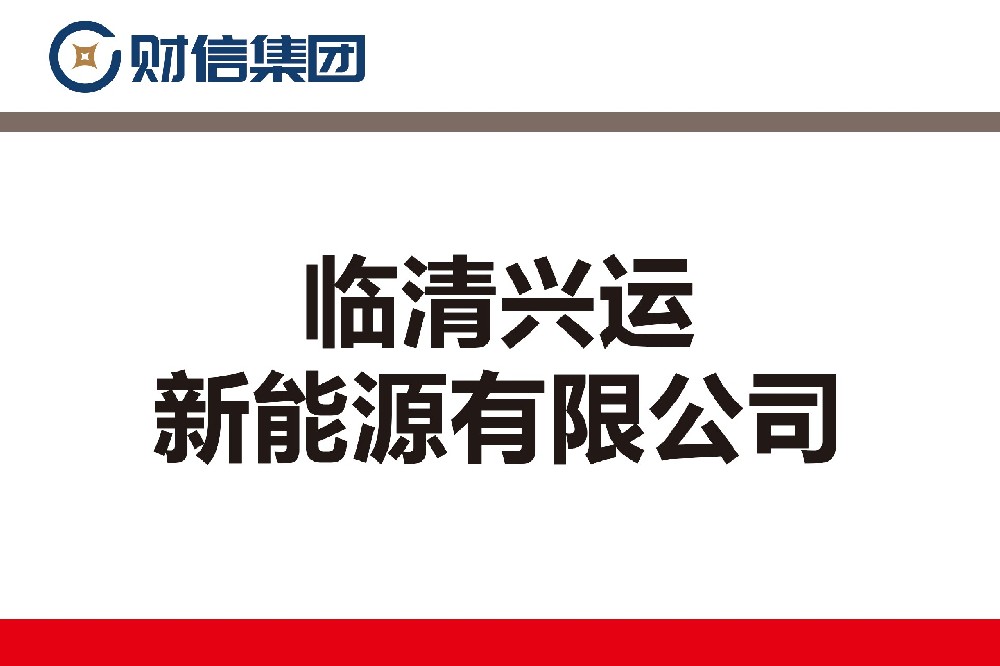 临清兴运新能源有限公司