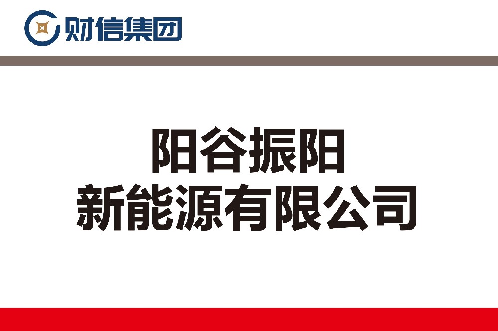 阳谷振阳新能源有限公司