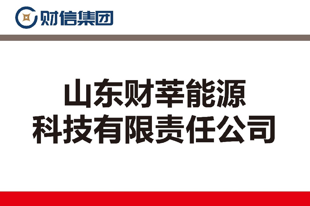山东财莘能源科技有限责任公司