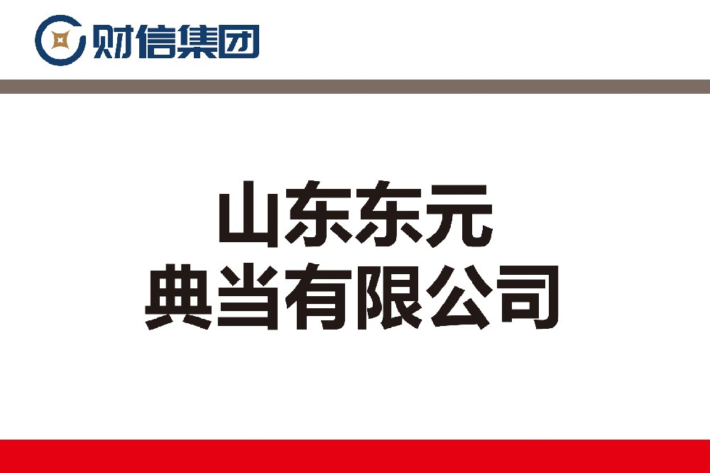 山东东元典当有限公司