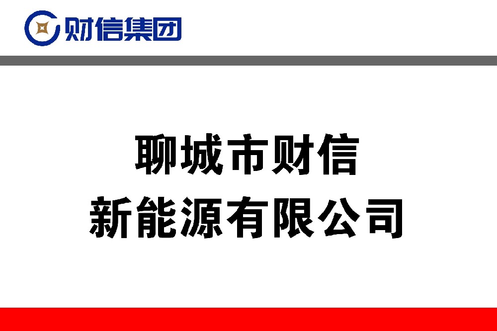 聊城市财信新能源有限公司